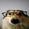 whosmarcris