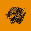 hullcity