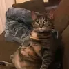7_sup_yyy