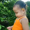 _bao_chuche