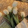 habiba_3liwa