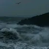 rannguaiutruyen_2014