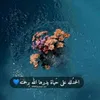 user5683159911191