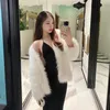 camelia_yst