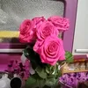 user3041026263547