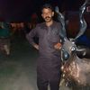 ranahas37