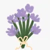 s_rso2