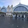 papitobesti