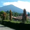 iimfatimah70