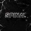 spinaldnb