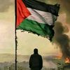 alaminislam8378
