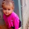 mi.pequea.nia14