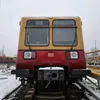 pascaldreamspotter