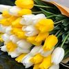 Janar