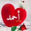 ahmednassimibest