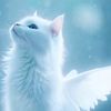 fresa_231