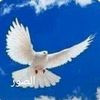 .ahmed6876