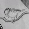 bushra_khire