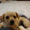 perlita_17
