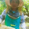 uthai483
