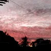 liazinha_008