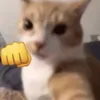 s1llva00