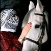sawsan19948