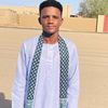 bshbsh556