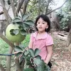 dyh2qrfbrrb4