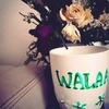 walaaabusaif8