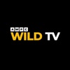 awpcwildtv