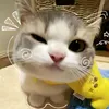 kimchikimchi975