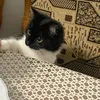 amina_301012