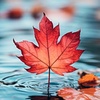 last_leaf_92