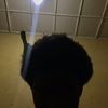 mintesnot93