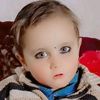 ahmadgul7028