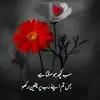 shhusnain4