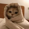 kryx_2409