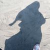 zuan_rdh