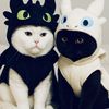 fridaynk