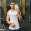 paulopedro4569