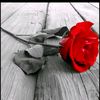 user5215314214840fatima