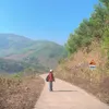 bicxnh