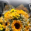 maryane.almeida772