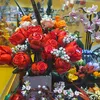 agniarya0798