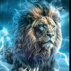 collins_king120