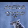 dyd8haio3y95