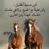 user4584036701276