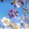 aissaaissa0926