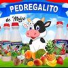 yogurtpedregalito